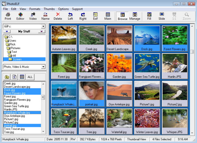 photo editor main program window